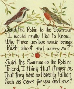Robin to sparrow