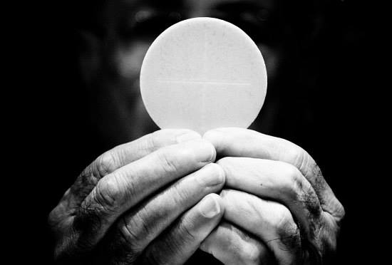 27073195_1569371096445775_2339578439556004042_n