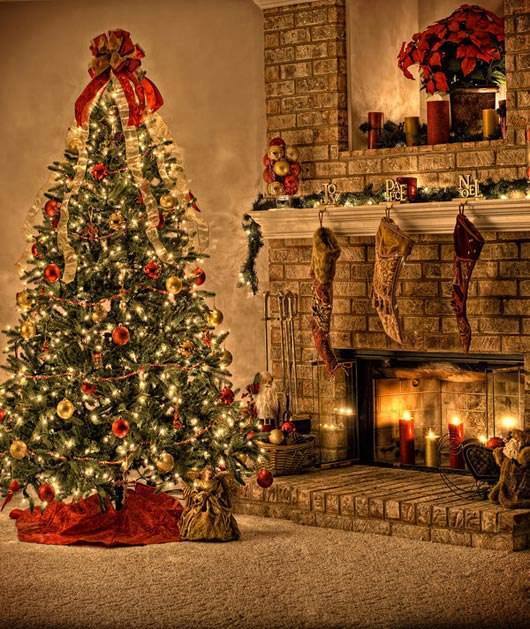 15727109_1202416103141278_3558426863789194363_n