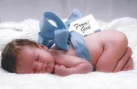 16174886_1231692056880349_3676061352487522157_n