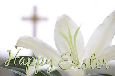 29598019_1628811550501729_7117715796139599639_n